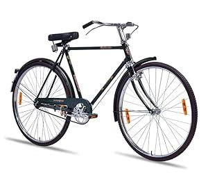 Buy Hero Jet OST Roadster Bicycle Black Colour 28T Online at Low Prices ...