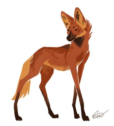 Maned Wolves 的图像结果