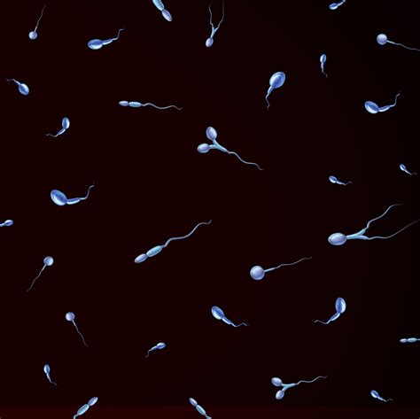 What is normal sperm motility? Understanding semen parameters