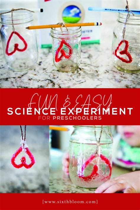 Simple Experiments 的图像结果