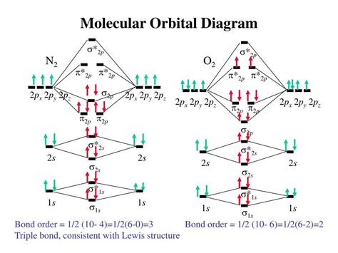 Image result for O2 Molecular Structure