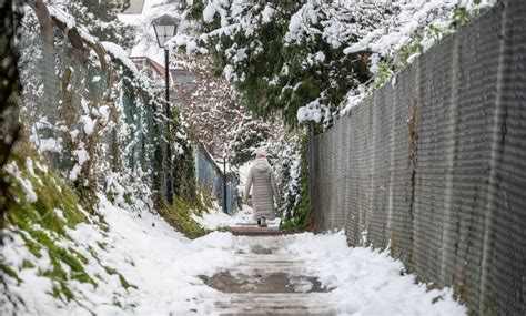 Himmelstreppe: Wege in den Wildpark Feldkirch | Urlaub am Bodensee ...
