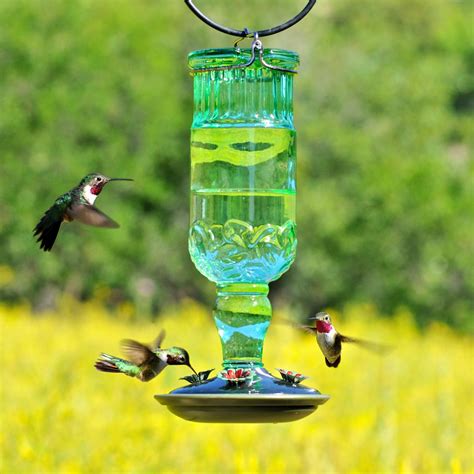 Amazon.com : Perky-Pet 8120-2 Green Antique Bottle Hummingbird Feeder ...