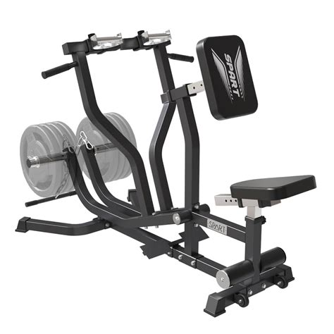 Buy SPART Seated Row Machine, Plate Loaded Lat and Back Workout ...
