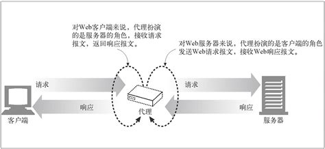 使用自定义代理（proxy） | Postman 中文文档