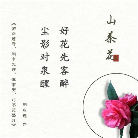 精)许渊冲经典英译古代诗歌1000首(全10册)》 - 淘书团
