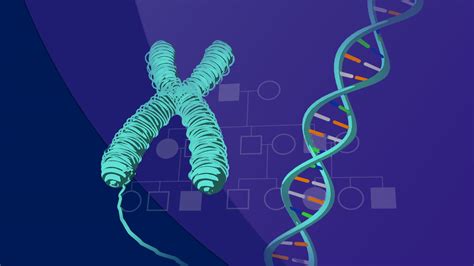 Image result for Bioinformatics Terminologies