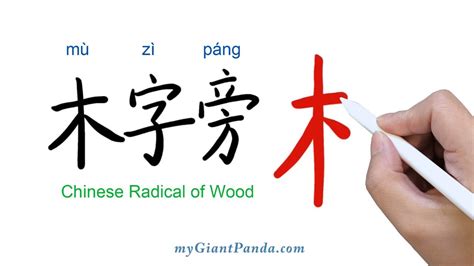 【木字旁】Chinese Radical of Wood 学写中文偏旁部首笔画｜Learn to Write Chinese Characters 学写字