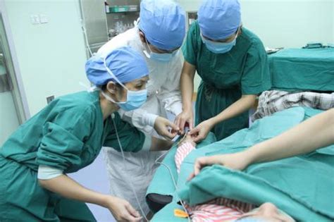 女子带203支孕妇血深圳出境被查：带往香港作胎儿性别鉴定