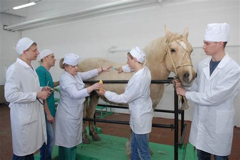 Факультет ветеринарной медицины