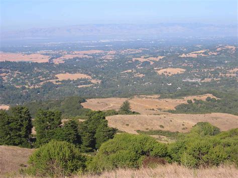 Windy Hill Open Space Preserve