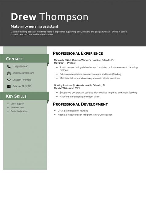 20 Best Nursing Assistant Resume Examples and Templates for 2026