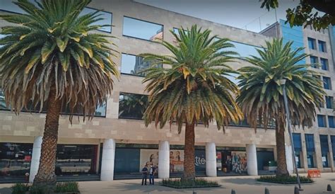 Image result for Ttec Office Background