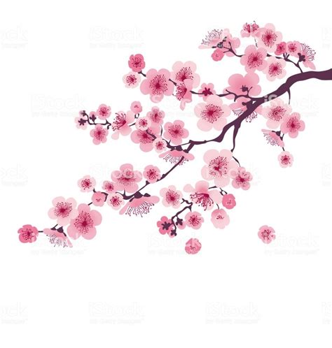 pastel color cherry blossom. vector illustration. japan sakura branch ...