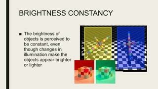 Image result for Brightness Constancy