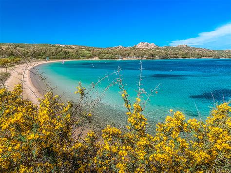 Vacanze green negli hotel Delphina | Meer