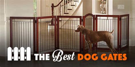 10 Best Dog Gates For Indoor Use & Staircases — 2020 Reviews