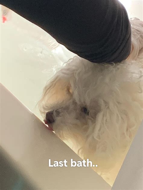 Rezultat imagine pentru Smart Subliminal