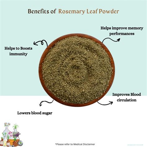 Rosemary Leaf Powder – Madurasherbals