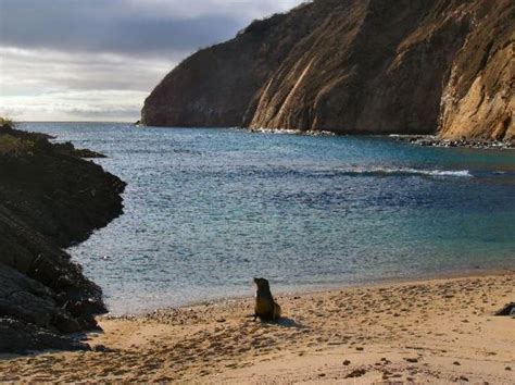 Ecuador Tour Place | Best Tourist Place to visit in Ecuador | HelloTravel