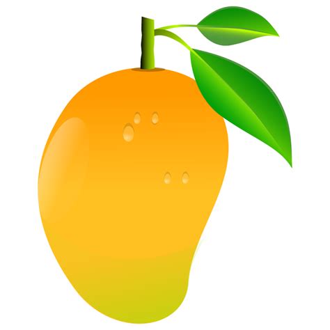 Mango transparent image | Fruit clipart, Mango images, Fruits drawing