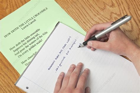 Image result for Mirror Writing Text