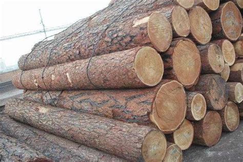一带一路下的木材行业：俄罗斯木材从国外直达中国西部木材贸易港