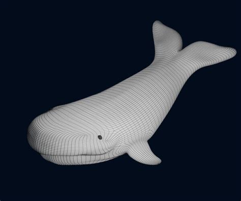 Image result for Whale 3D Tutorial SolidWorks