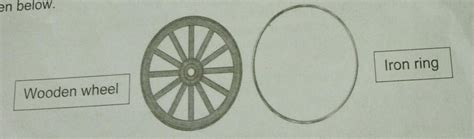 Mohan visits his grandmother’s village and observe that all Bullock ...