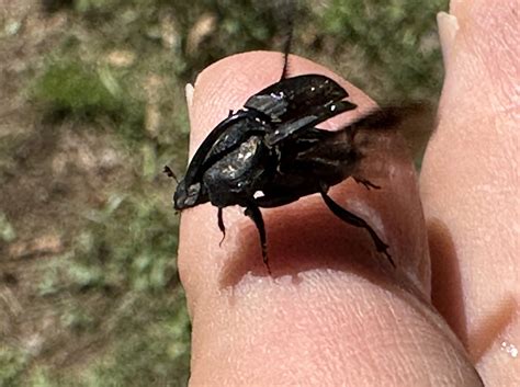 Image result for Sampling Frame Methods