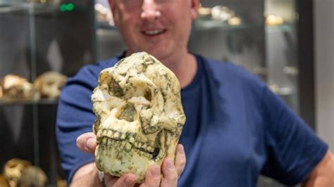 El fósil de ‘Pie Pequeño’ podría ser una nueva especie de ancestro ...