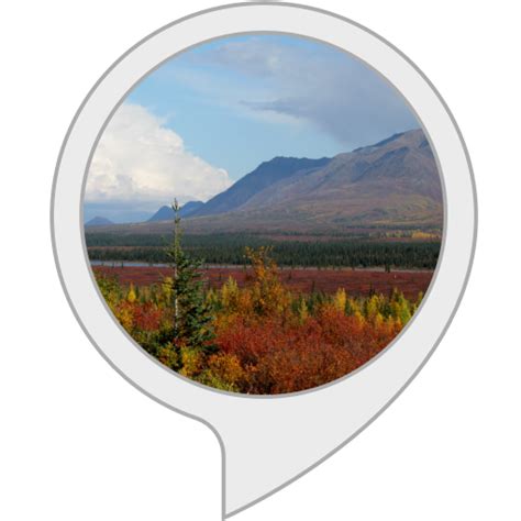 Amazon.in: Motivational Quotes : Alexa Skills