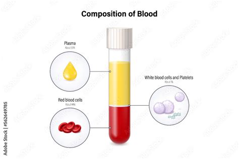 Image result for Normal Values of Blood Components