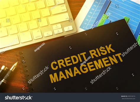 Credit-Risk 的图像结果