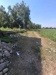 Residential 1000 Sqft Plot for sale at Dharmawala, | Property ID - 16530424