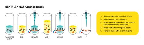 NEXTFLEX NGS Cleanup Beads – SPRI Magnetic Beads for DNA Cleanup & Size ...