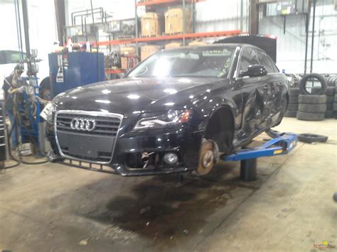 Vehicle List - Ewe Pullet