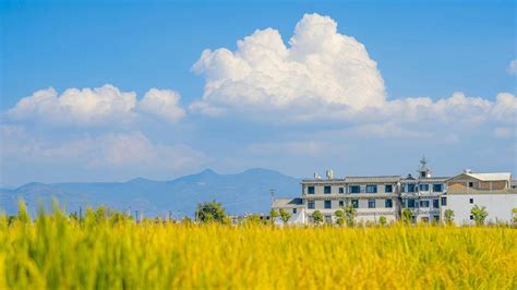 乡村壁纸 的图像结果