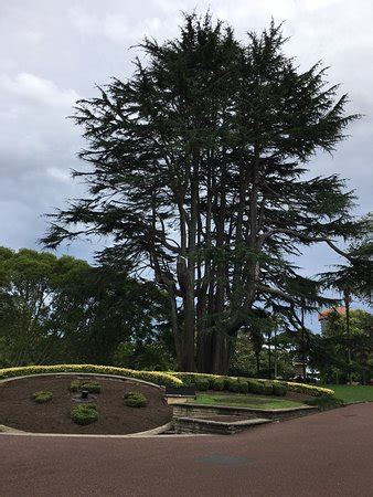 Auckland Walks - 2022 What to Know Before You Go (with Photos ...