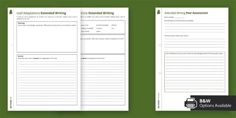 Leaf Adaptations Extended Writing | KS3 Biology | Beyond