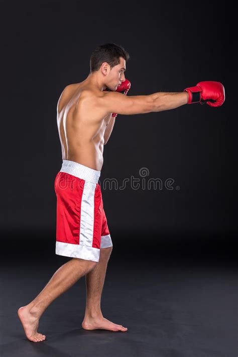 Martial arts stock image. Image of handle, healthy, fighter - 46910185