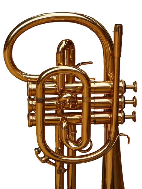 Image result for Different Types of Horns Instruments