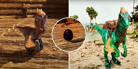 Image result for Ark Mutation Breeding