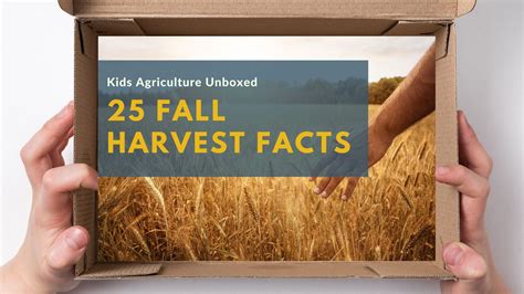 Teaching Youth About Fall Agriculture Harvest: 25 Fascinating Facts ...