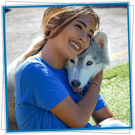 Impulse Control Exercises for Dogs 的图像结果