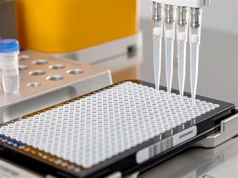 PCR Lab Setup 的图像结果
