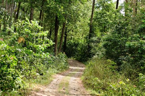 Kalvari Mount - One of The Best Mount to Enjoy Beautiful Scenery in Idukki