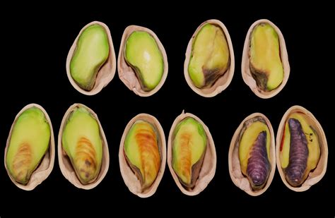 Pistachio | Postharvest Research and Extension Center