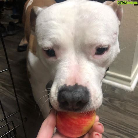 Megan Bitchell | Gethu Cinema