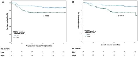 TREM2 Is Associated with Advanced Stages and Inferior Prognosis in Oral ...